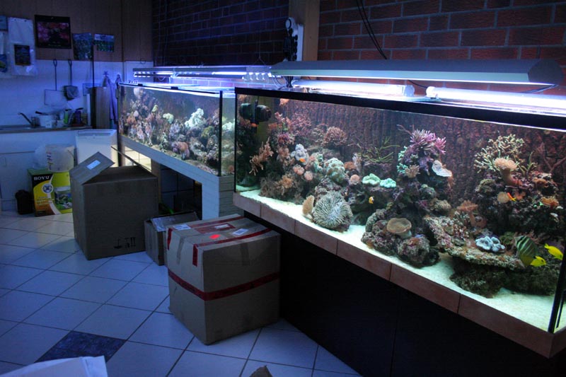 Killikus&reg; Fotographie